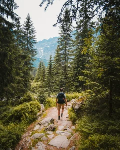 A man walking on hiking trail between trees
