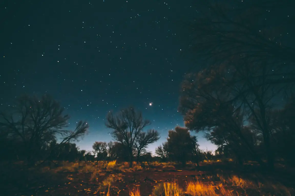 Night sky Photography with phone - ShutterHow