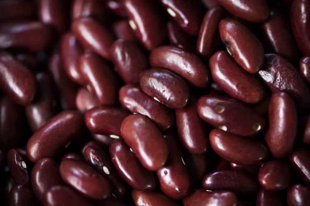  A closeup shot of red kidney bean seeds product