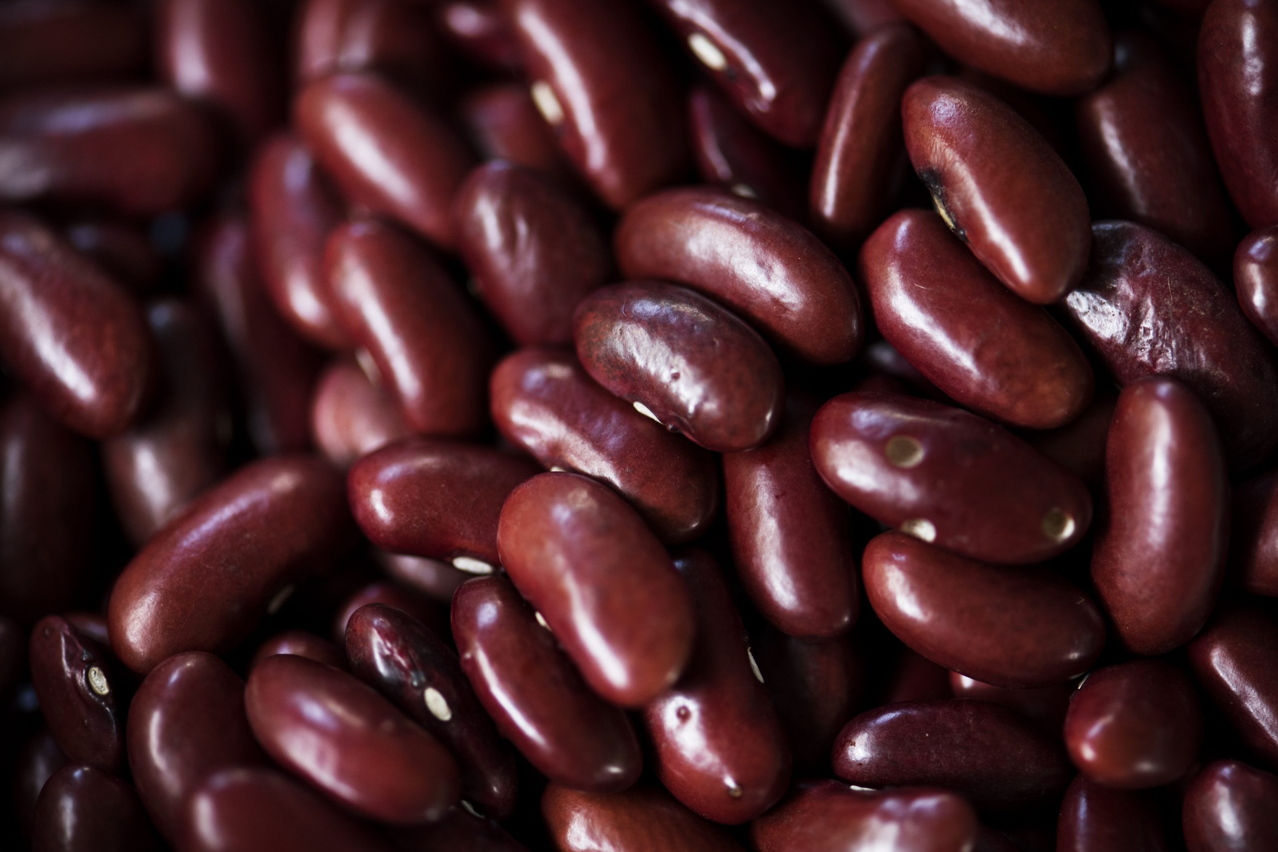  A closeup shot of red kidney bean seeds product