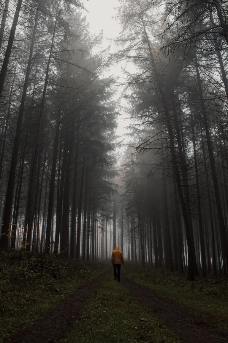 Lonely traveler walking on a hiking trail in foggy forest