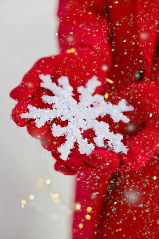 A snowflake on a red gloves background