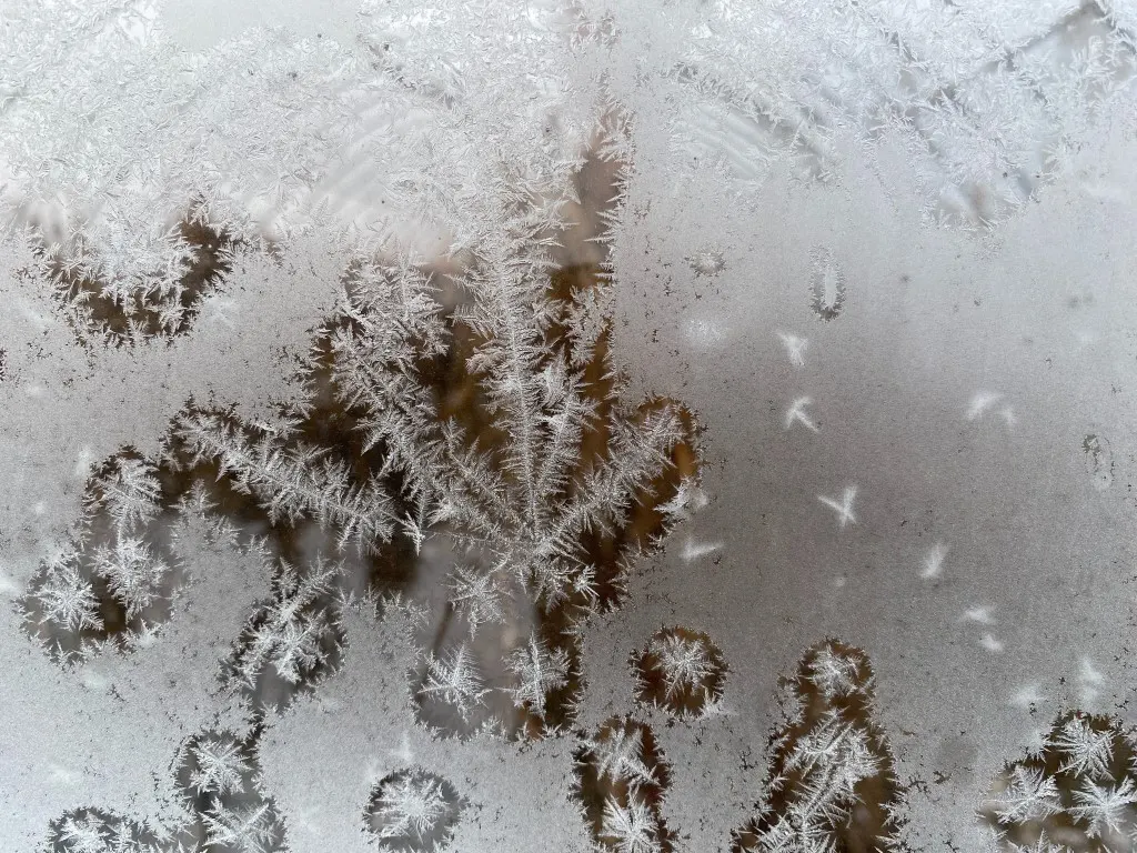 snowflakes on glass
