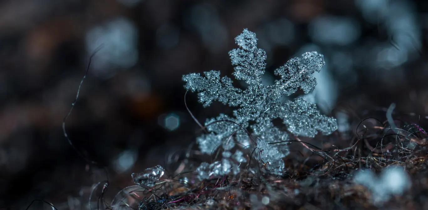 A macro photograph of a snowflake