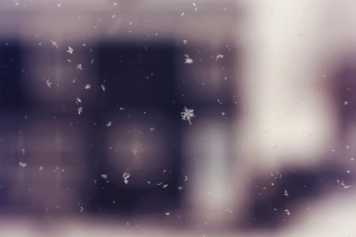 A photograph of snowflakes falling