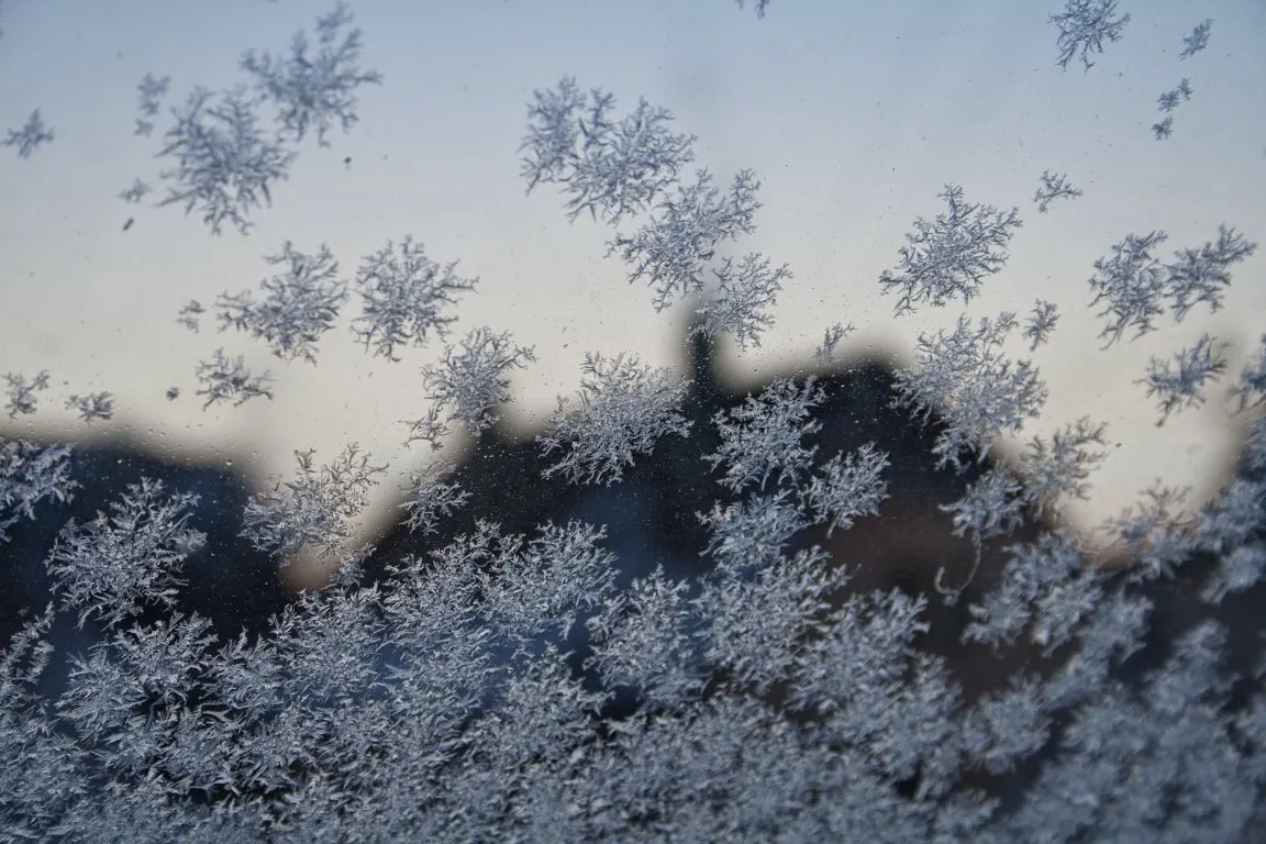 Snowflakes photograph was taken when them on glass window