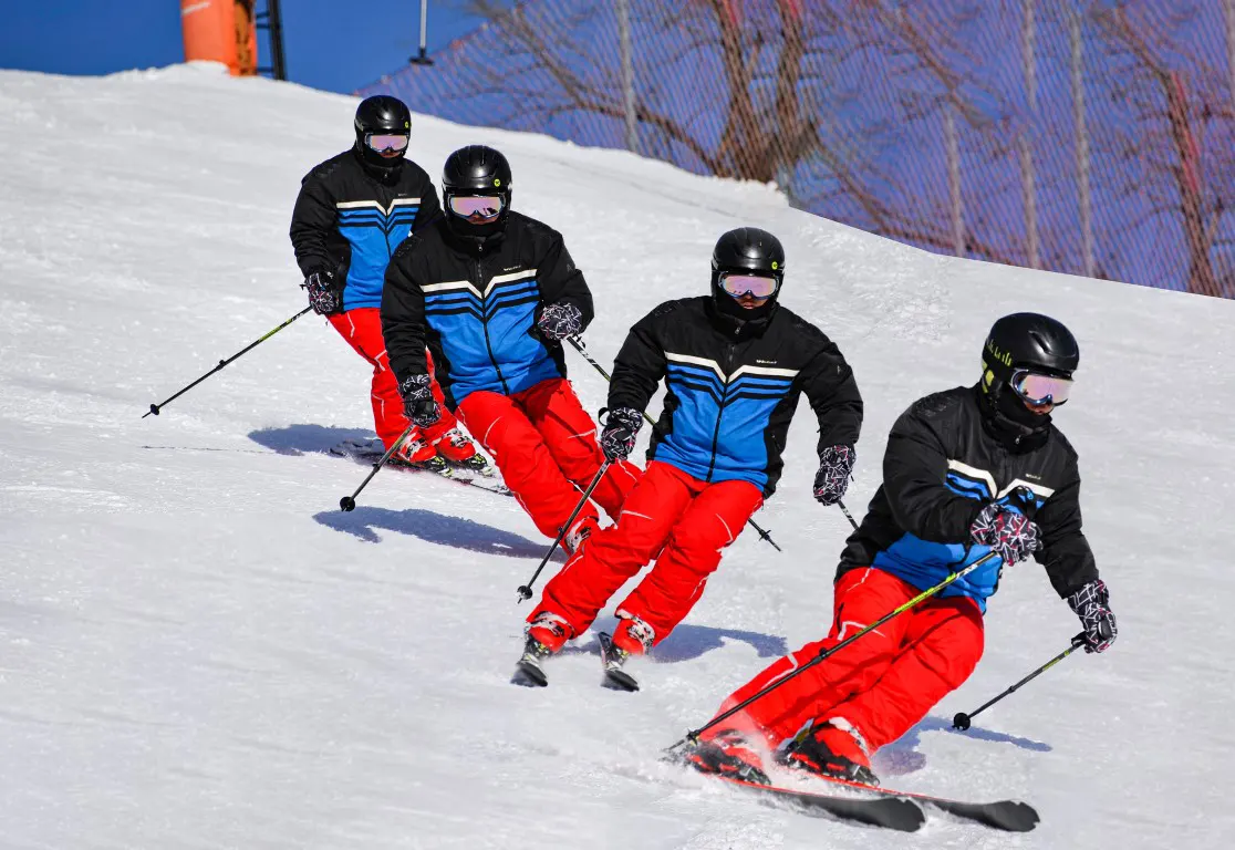 Racing moment of the team of skiers