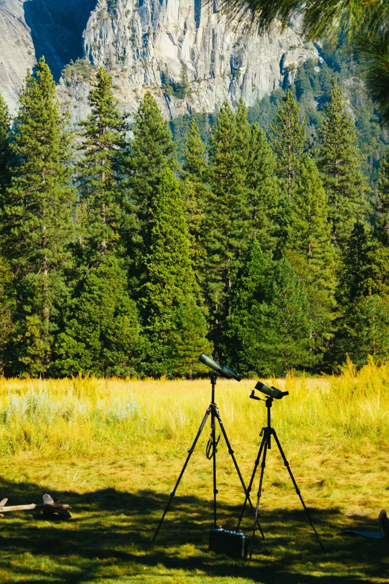 Two spotting scopes with tripods on field