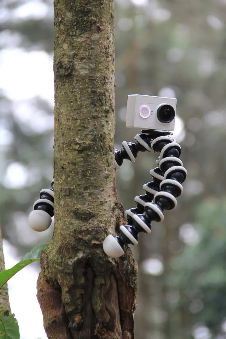 GoPro Camera on a Flexible Tripod on a Tree
